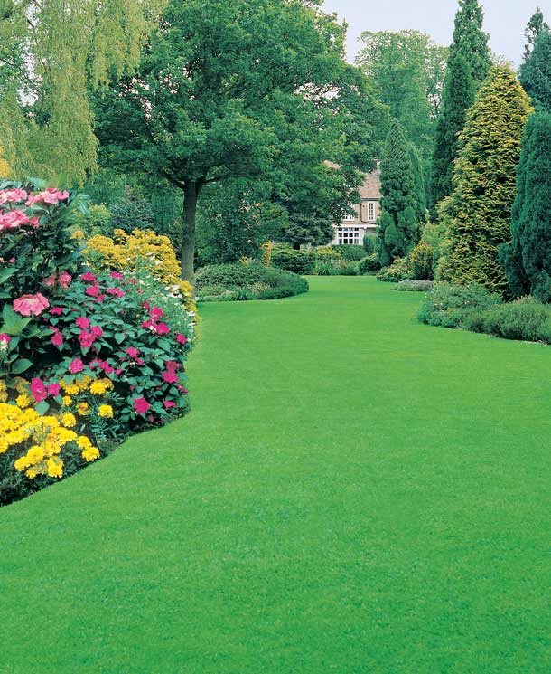 Hornbach-travnik-6-X.jpg