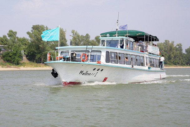 Patince-3-X.jpg