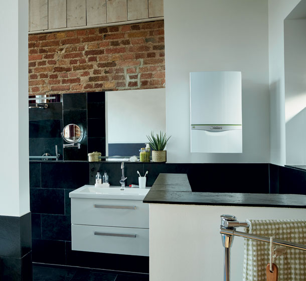 Vaillant-3-X.jpg