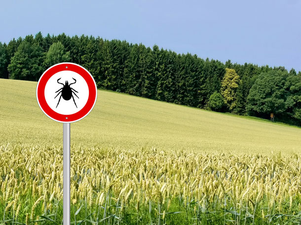 61b-shutterstock_646569397-1-X.jpg