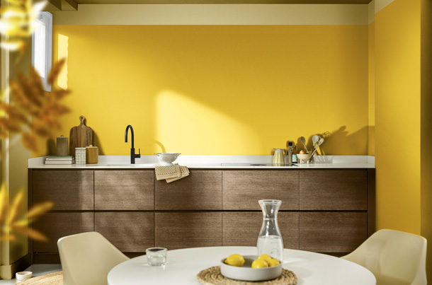 Farba-2025-Dulux-1-X.jpg