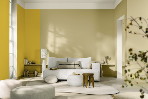 Farba-2025-Dulux-2-X.jpg